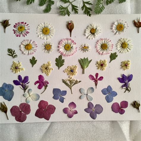 processed flowers