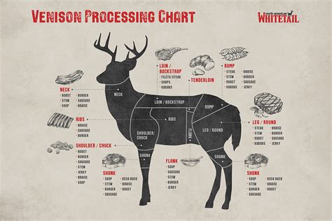 Processing Venison Cuts Chart