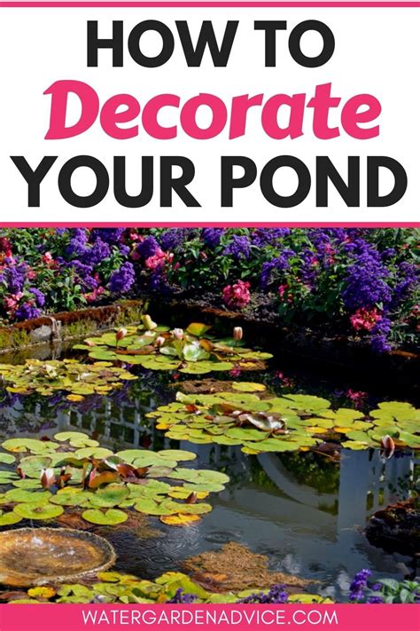 Professional garden pond decoration service