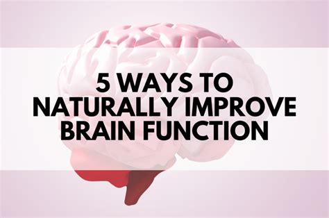 Promoting Brain Function