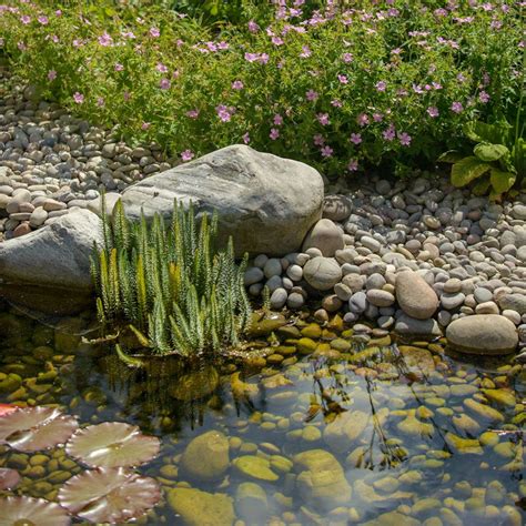 Protect garden pond decorations from wild animals