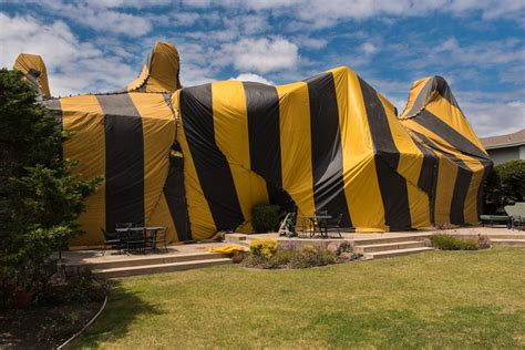 protecting plants fumigation