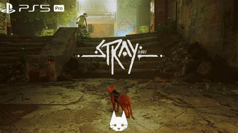 Ps5 Stray Walkthrough