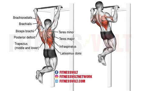 pull up exercise