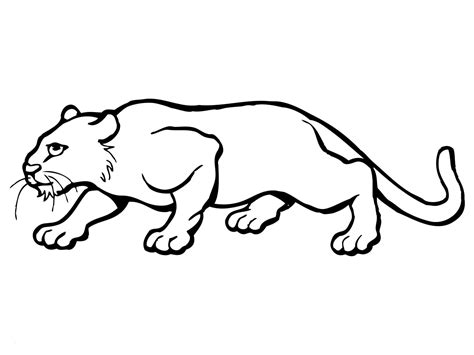 puma coloring pages