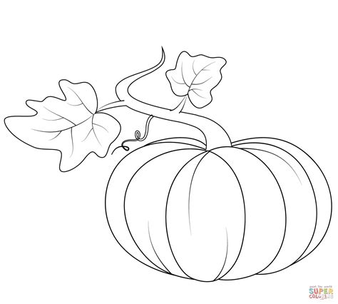 pumpkin leaves coloring pages