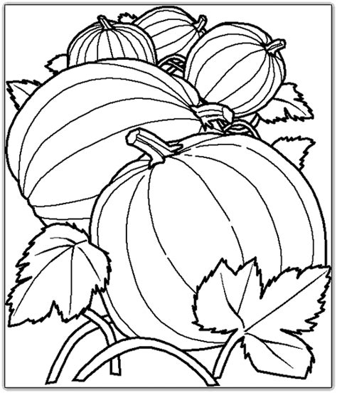 pumpkin patch coloring pictures