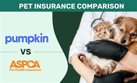 Pumpkin Pet Insurance Pros