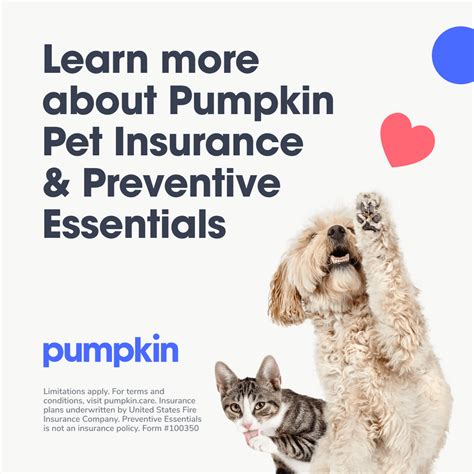 Pumpkin Pet Insurance Cost Breakdown