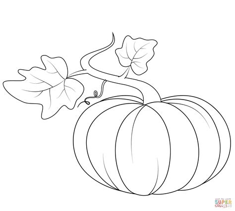 pumpkin with leaves coloring page