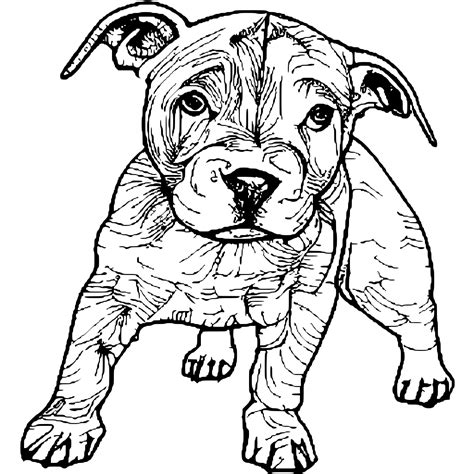 puppy pitbull coloring pages