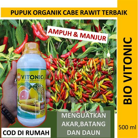 pupuk cabe
