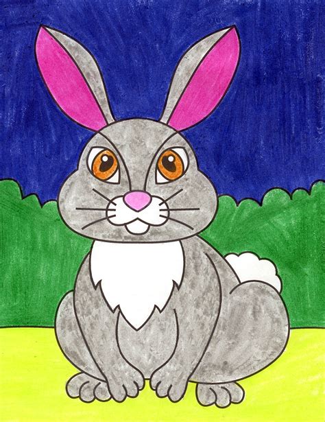 rabbit drawing colour easy
