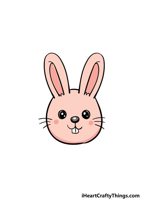 rabbit face drawing with colour