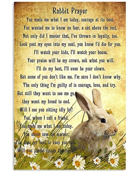 rabbit prayer