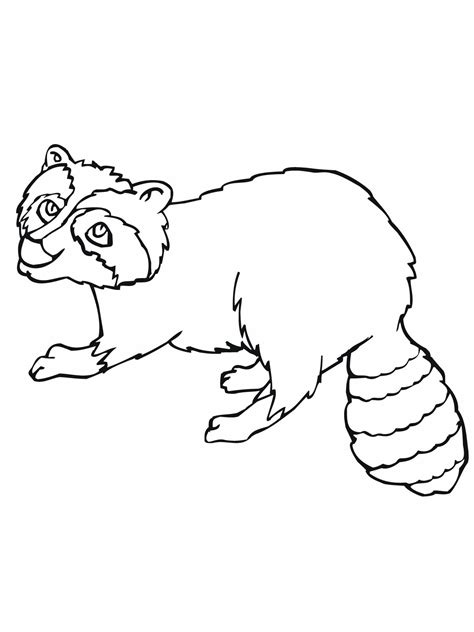 raccoon coloring pages