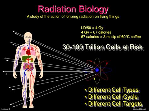 radiation Biology