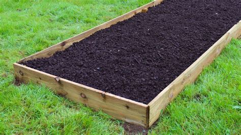 raised bed no dig