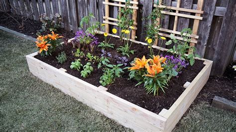 raised flower bed tips