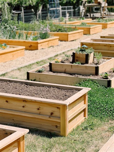 raised garden bed near me