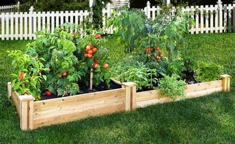 raised garden planting tips