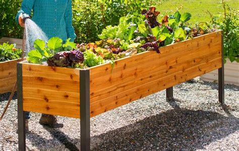 raised planter boxes