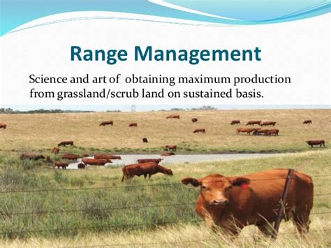Range Management