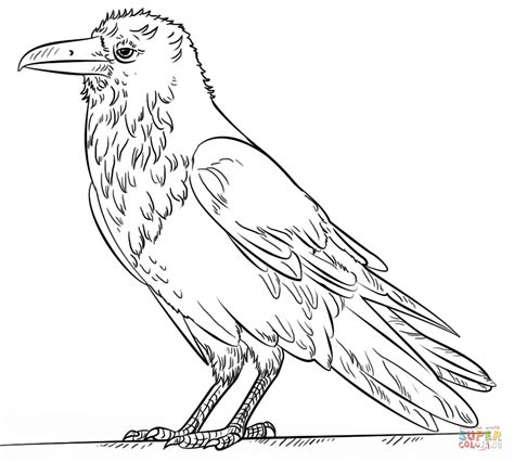 raven coloring pages