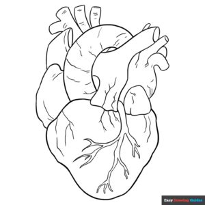 real heart coloring pages