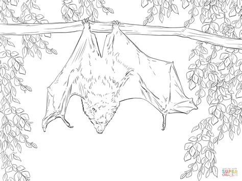 realistic bat coloring pages