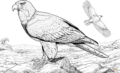 realistic eagle coloring pages