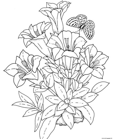 realistic flowers coloring pages