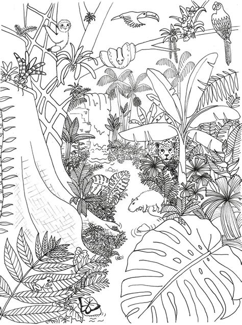 realistic forest coloring pages