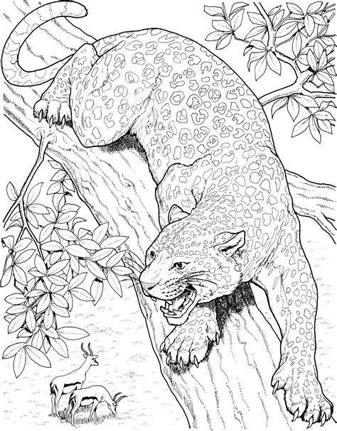 realistic jaguar coloring pages