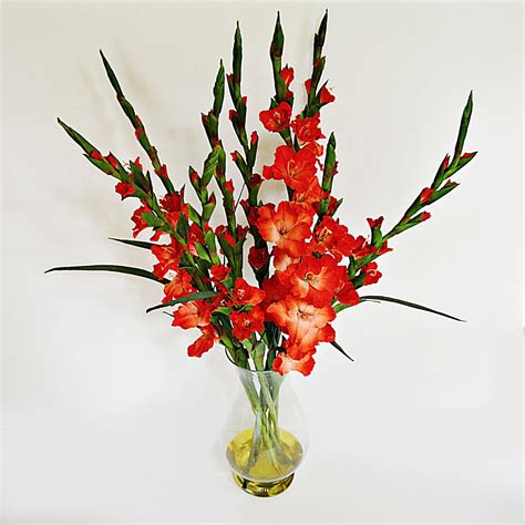 red gladiolus flower arrangements