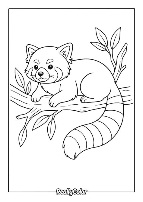 red panda coloring page