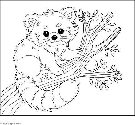 red panda coloring sheet