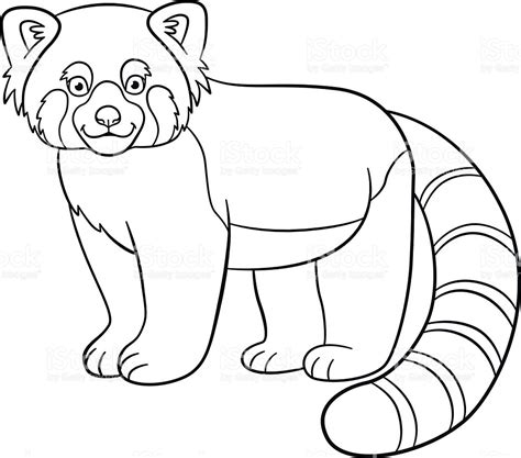 red panda colouring