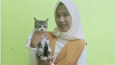 relawan kucing indonesia