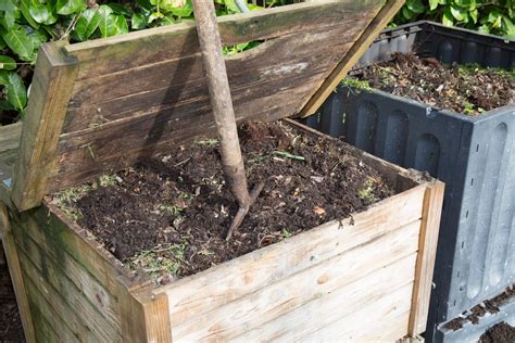 reviving old compost