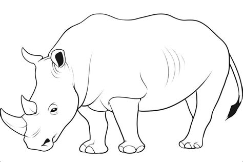 rhino colouring pages