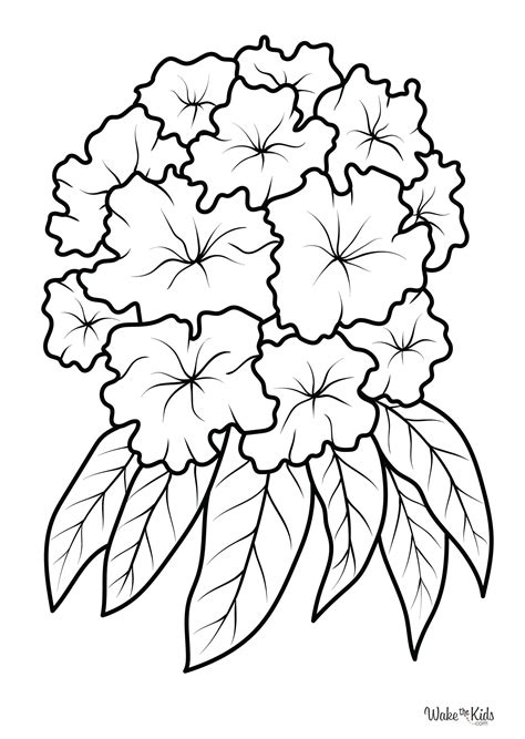 rhododendron coloring page