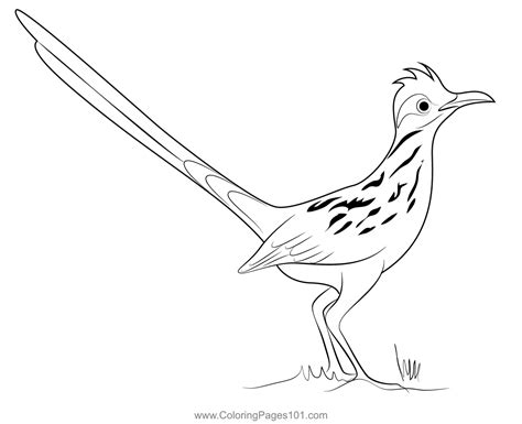 roadrunner coloring pages