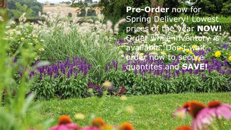 Roberta S Unique Gardens Catalog