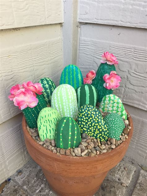 rock cactus
