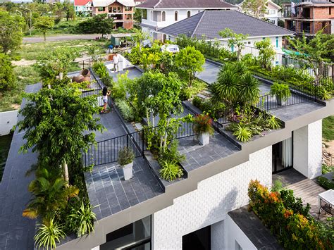 rooftop garden tanaman hias