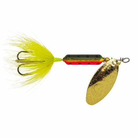 Rooster Tail Spinner