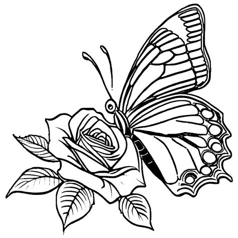 rose and butterfly coloring pages