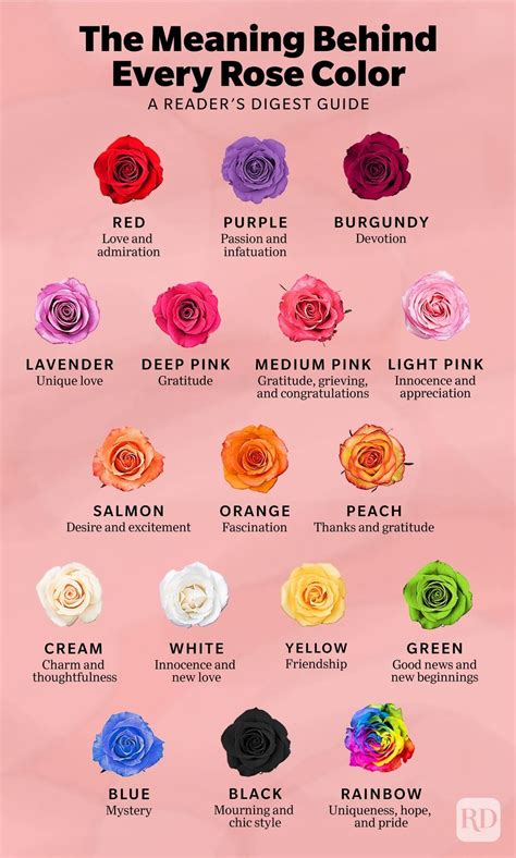 Rose Color Meaning Coloring Wallpapers Download Free Images Wallpaper [coloring876.blogspot.com]