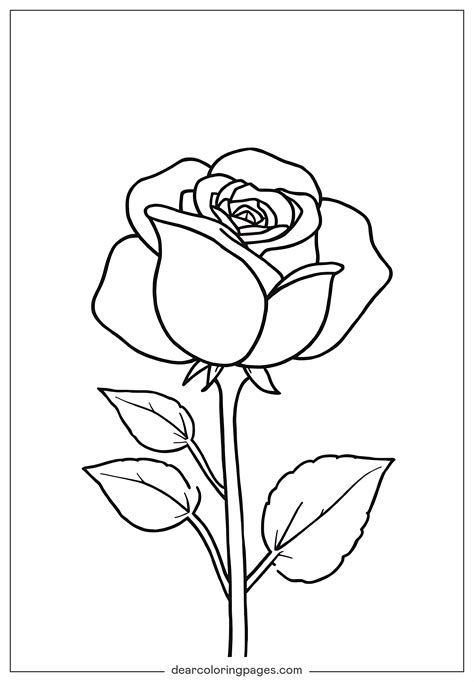 rose coloring sheets